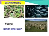 高中生物人教版必修三4 .1 《种群的特征》课件PPT