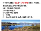 高中生物人教版必修三 4.3 《群落的结构》课件PPT