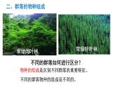 高中生物人教版必修三 4.3 《群落的结构》课件PPT