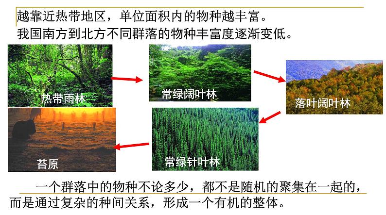 高中生物人教版必修三 4.3 《群落的结构》课件PPT07