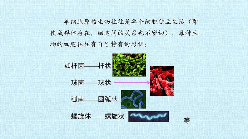 第一单元第一章细胞概述复习课件   中图版高中生物必修107