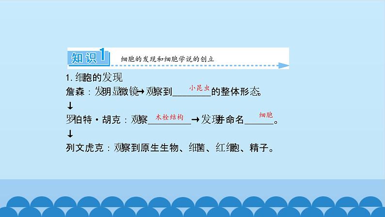 1.1.1人类对细胞的认识 中图版高中生物必修1课件PPT03