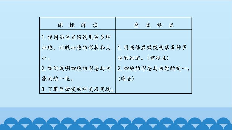 1.1.2细胞的形态和功能 中图版高中生物必修1  课件02