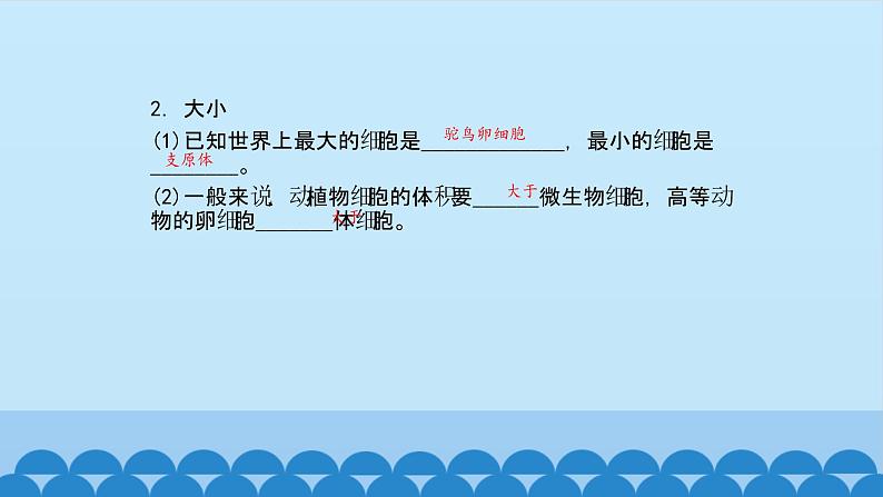 1.1.2细胞的形态和功能 中图版高中生物必修1  课件04