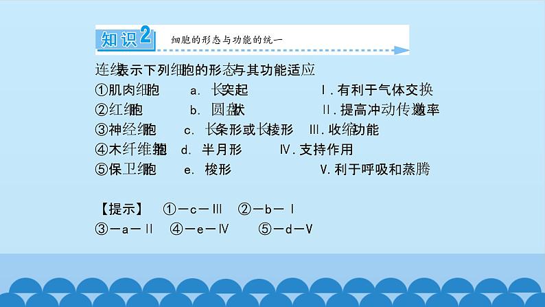 1.1.2细胞的形态和功能 中图版高中生物必修1  课件06