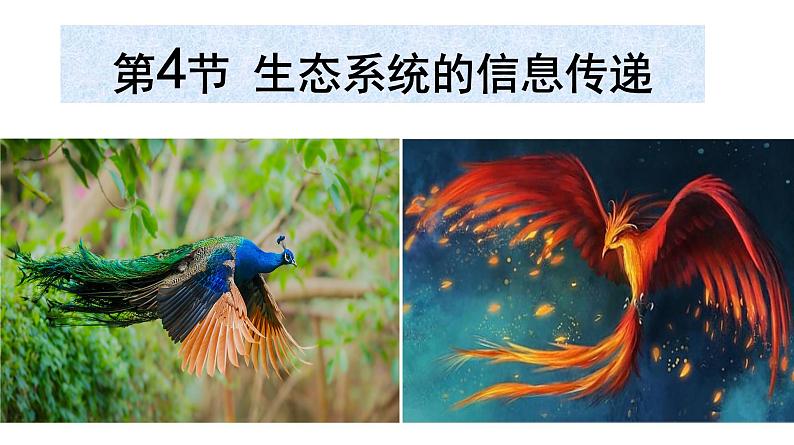 高中生物人教版必修三 5.4 《生态系统的信息传递》课件第1页