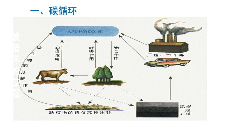 高中生物人教版必修三 5.3 《生态系统的物质循环》课件第4页