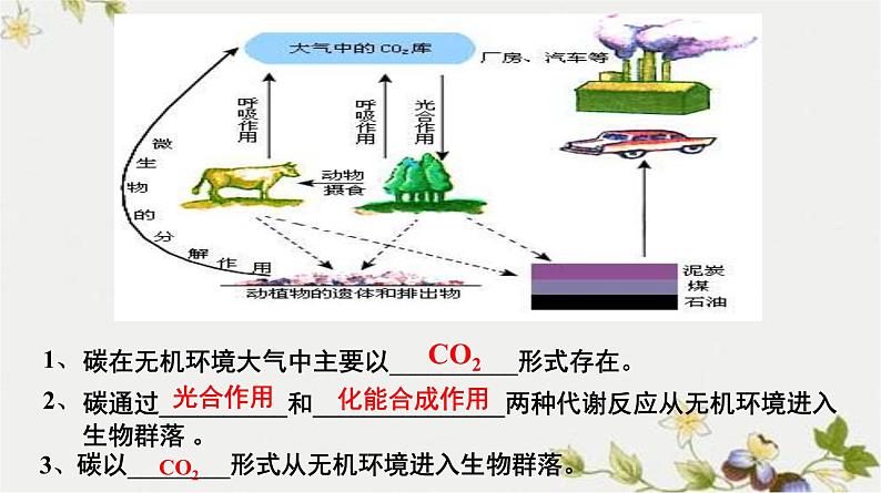 高中生物人教版必修三 5.3 《生态系统的物质循环》课件第5页