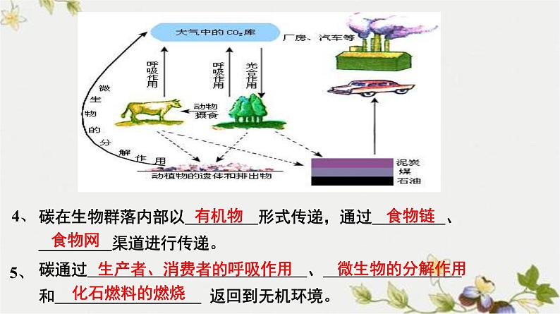 高中生物人教版必修三 5.3 《生态系统的物质循环》课件第6页