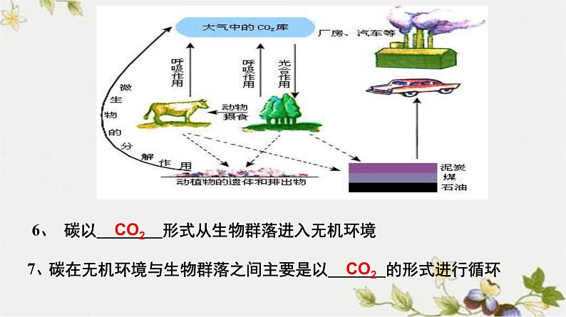 高中生物人教版必修三 5.3 《生态系统的物质循环》课件第7页