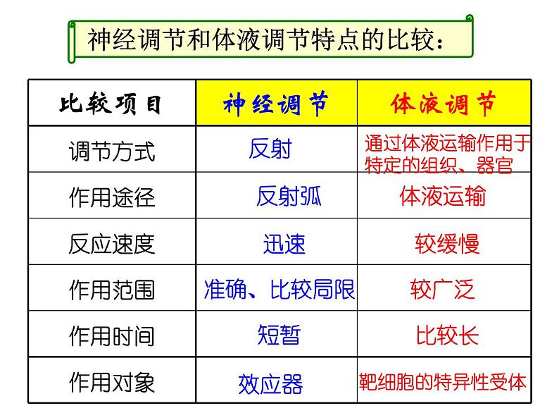 高中生物人教版必修三 2.3《神经调节与体液调节的关系》课件PPT第5页