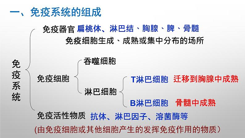 高中生物人教版必修三 2.4 《免疫调节》课件PPT第6页