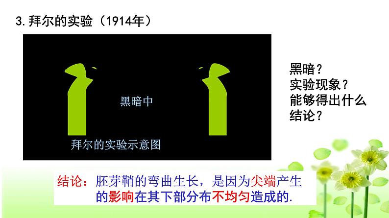 高中生物人教版必修三 3.1 《植物生长素的发现》课件PPT08