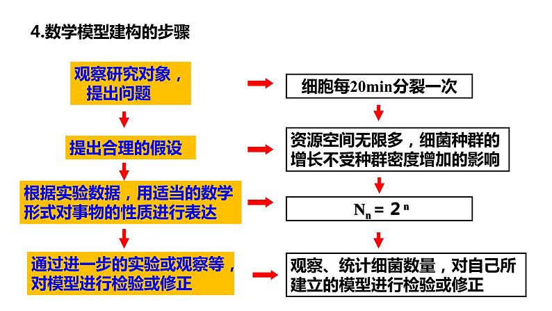 高中生物人教版必修三 4.2《 种群数量的变化》课件PPT06