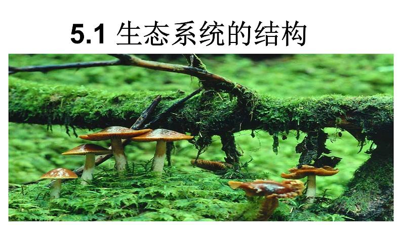 高中生物人教版必修三5 .1 《生态系统的结构》课件PPT第1页