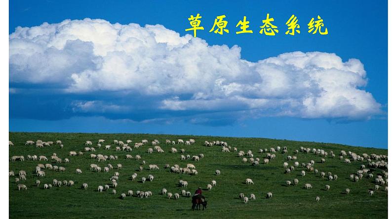 高中生物人教版必修三5 .1 《生态系统的结构》课件PPT第6页