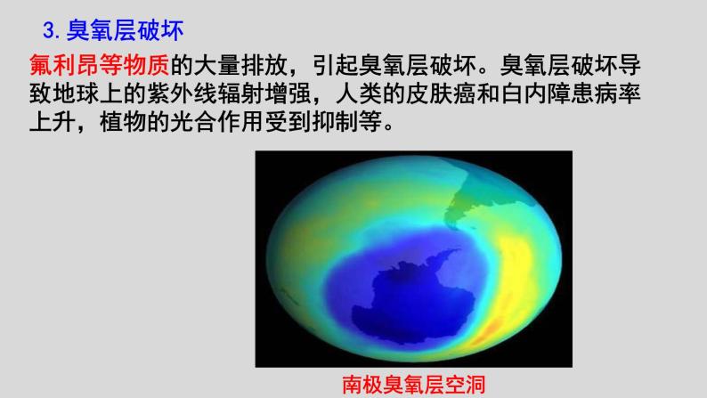 高中生物人教版必修三 6.2 《保护我们共同的家园》课件05