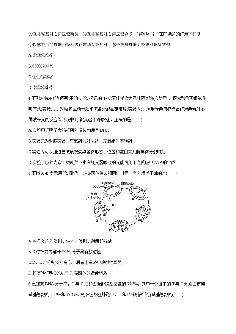 2022届高考生物一轮总复习  单元质检卷五　遗传的分子基础第2页