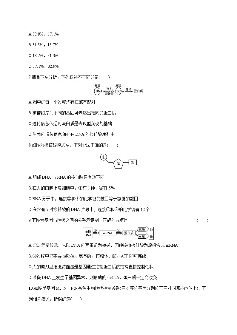 2022届高考生物一轮总复习  单元质检卷五　遗传的分子基础第3页