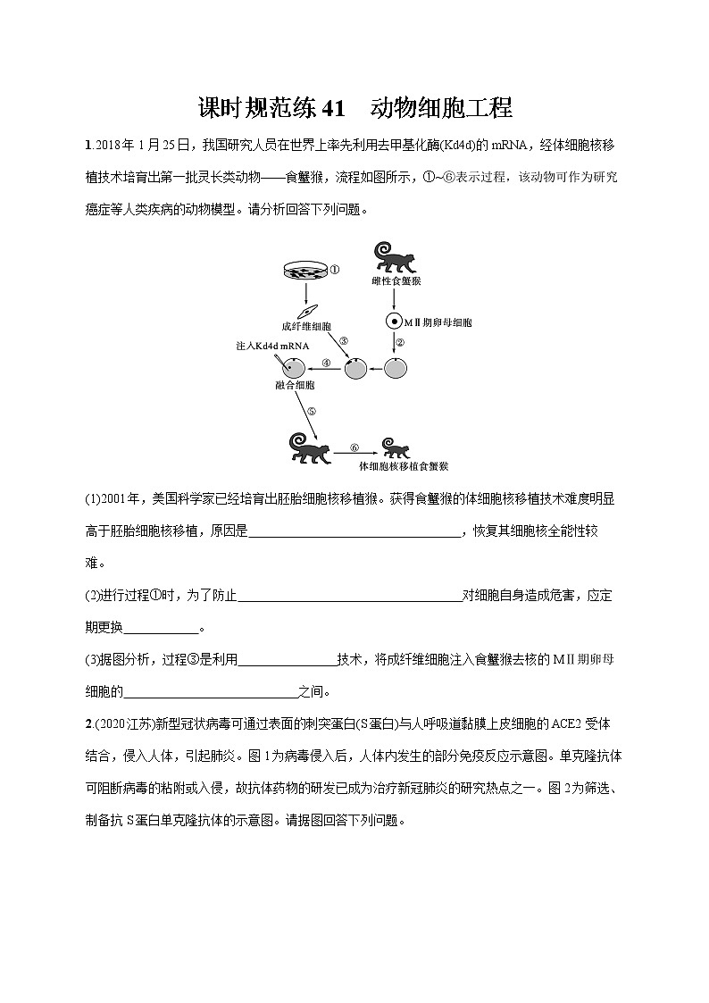 2022届高考生物一轮总复习  课时规范练41　动物细胞工程第1页