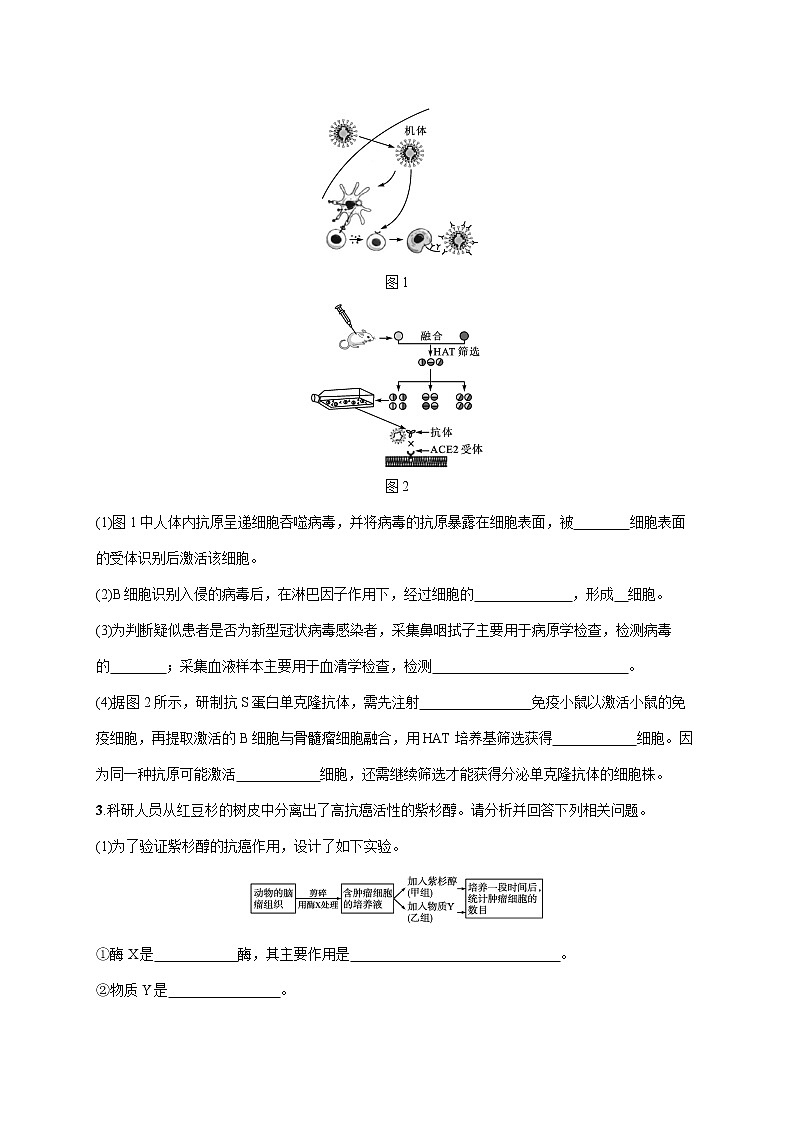 2022届高考生物一轮总复习  课时规范练41　动物细胞工程第2页