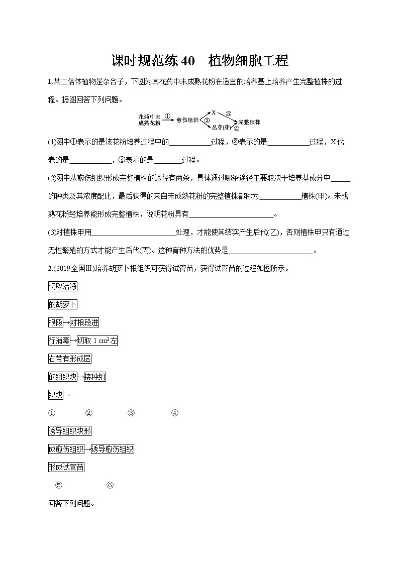 2022届高考生物一轮总复习  课时规范练40　植物细胞工程第1页