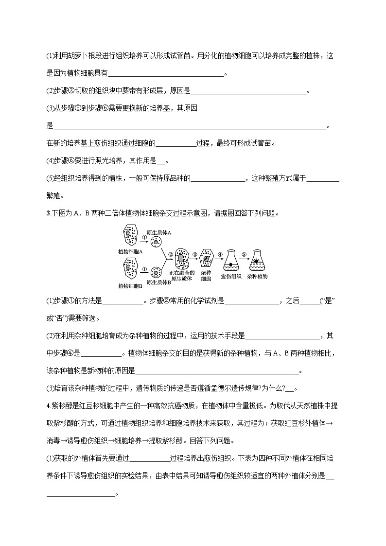 2022届高考生物一轮总复习  课时规范练40　植物细胞工程第2页