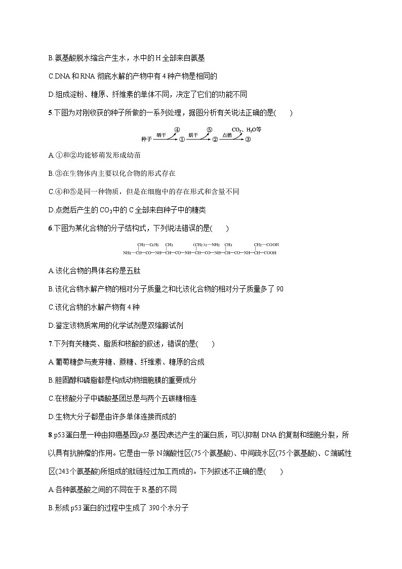 2022届高考生物一轮总复习  单元质检卷一　细胞的概述　细胞的分子组成第2页