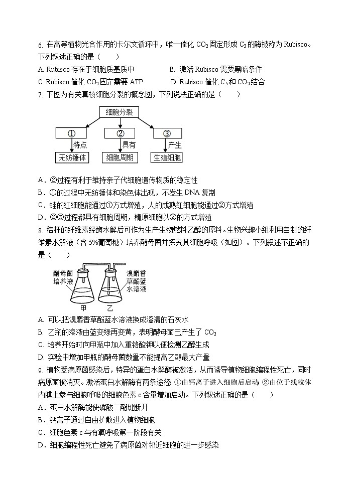 广东省汕头市金山中学2021-2022学年高二上学期开学考试生物Word版含答案练习题第2页