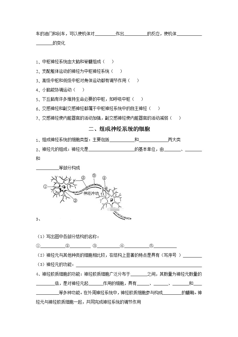 2.1神经调节的结构基础 导学案 人教新版生物选择性必修第一册02