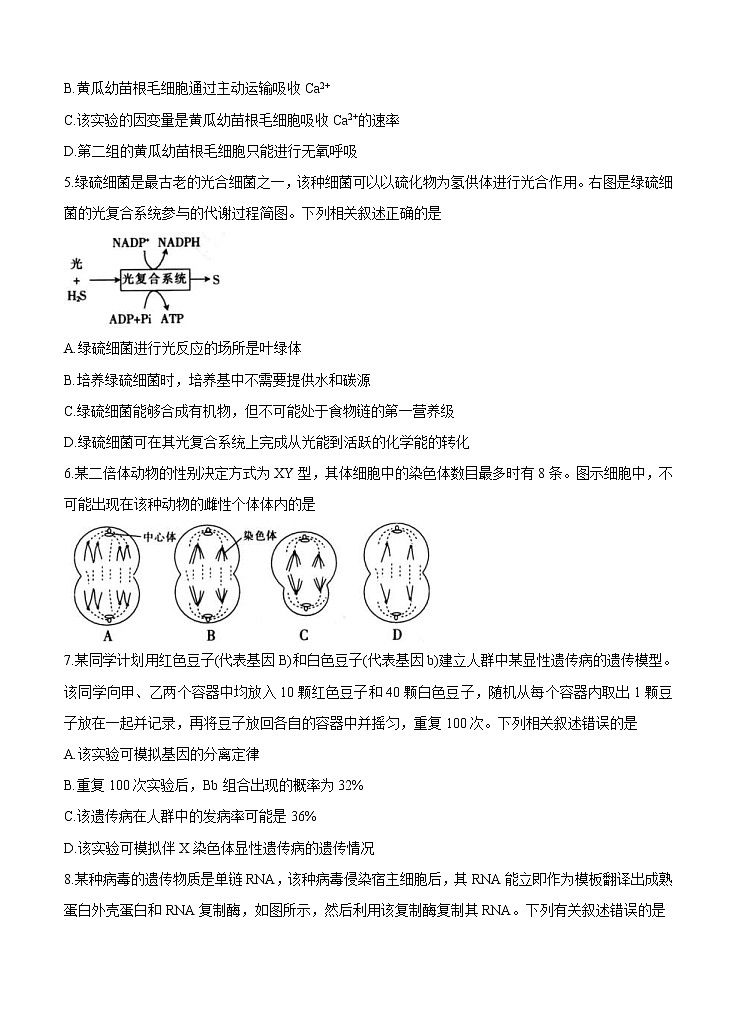 广东省2022届高三上学期8月第二次联考 生物 (含答案)练习题第2页