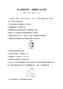 2022届高考生物一轮总复习  单元质检卷四　细胞的生命历程