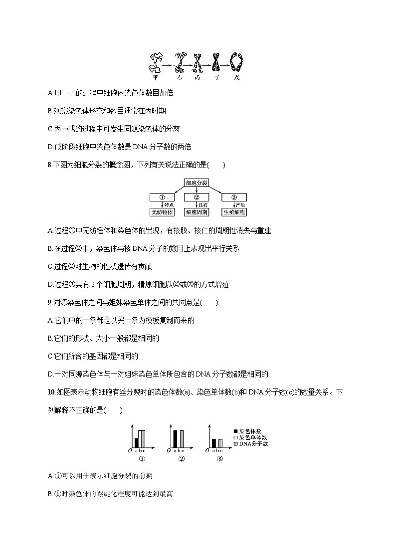 2022届高考生物一轮总复习  单元质检卷四　细胞的生命历程03
