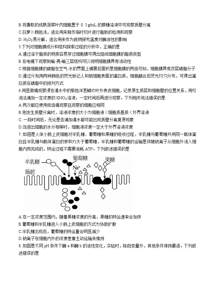 河南省2022届高三上学期8月摸底联考 生物 (含答案)练习题第2页