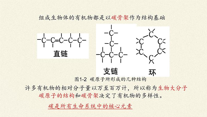 生物大分子以碳链为骨架PPT课件免费下载04