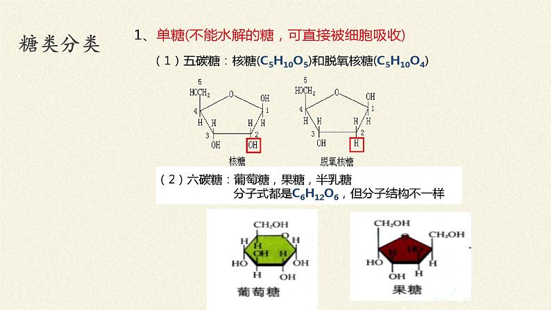 生物大分子以碳链为骨架PPT课件免费下载08