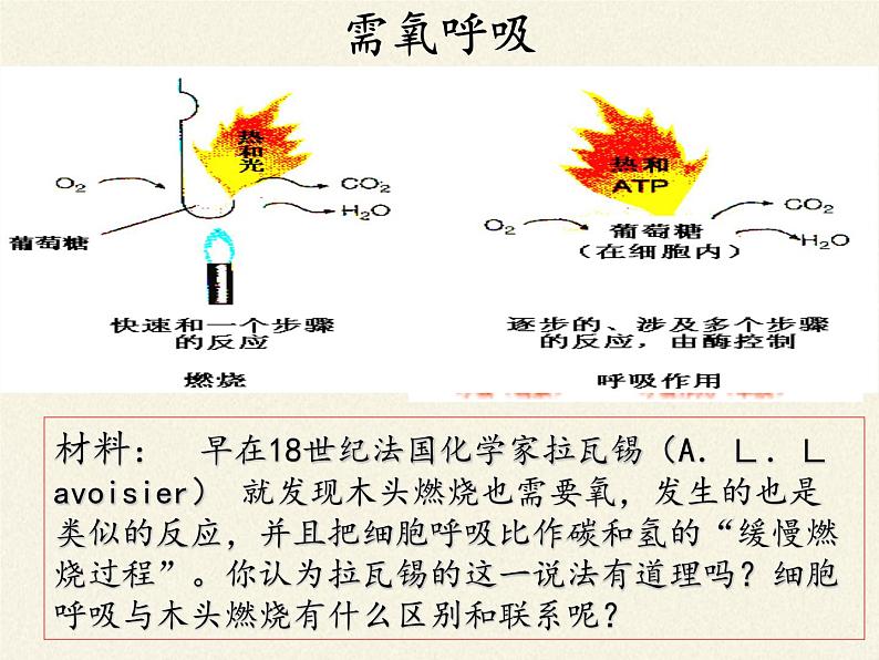 细胞呼吸为细胞生活提供能量PPT课件免费下载04