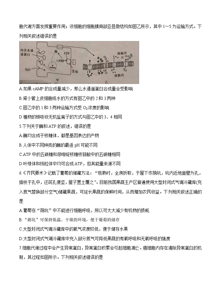 重庆市2022届高三上学期9月入学诊断 生物 (含答案) 练习题02