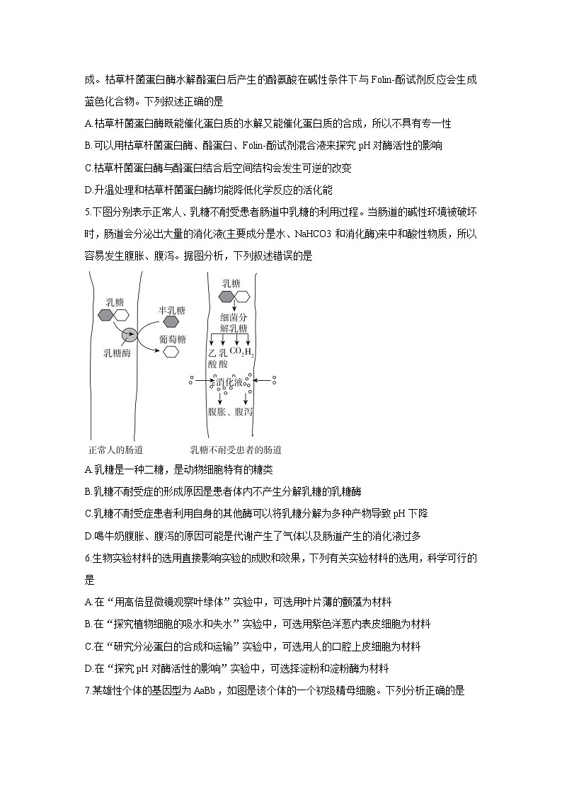 河北省神州智达省级联测2022届高三上学期第二次考试+生物+Word版含答案第2页