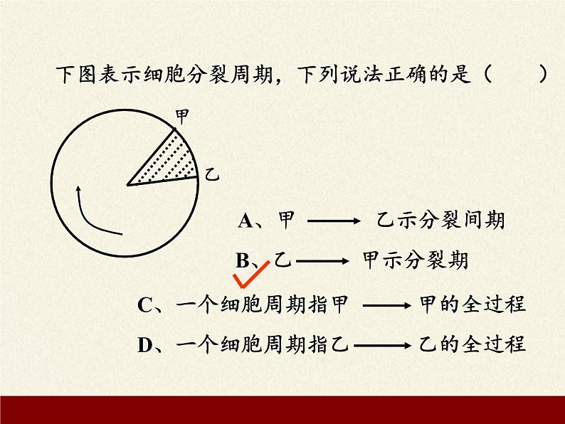 2021-2022学年高中生物浙科版（2019）必修一4.1细胞通过分裂增殖 课件第6页