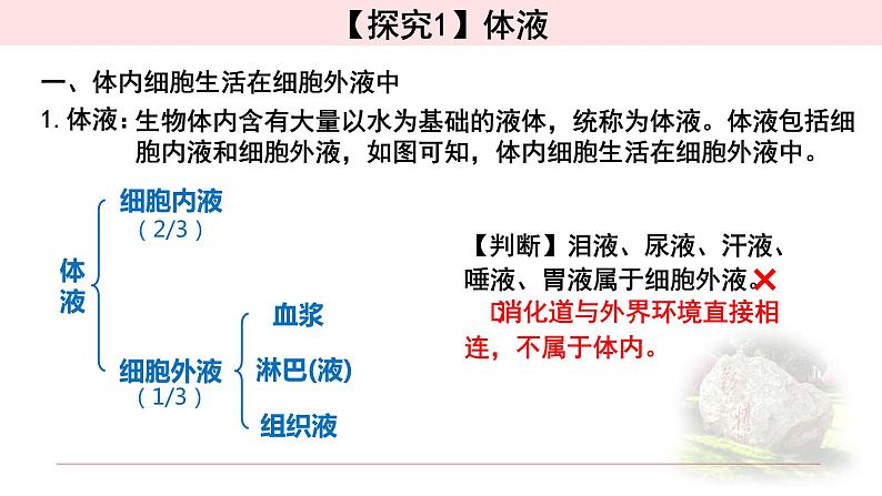 1.1.1细胞生活的环境 课件 【新教材】人教版（2019）高中生物选择性必修一第4页