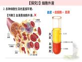 1.1.1细胞生活的环境 课件 【新教材】人教版（2019）高中生物选择性必修一