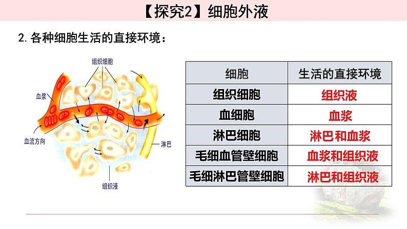 1.1.1细胞生活的环境 课件 【新教材】人教版（2019）高中生物选择性必修一第6页