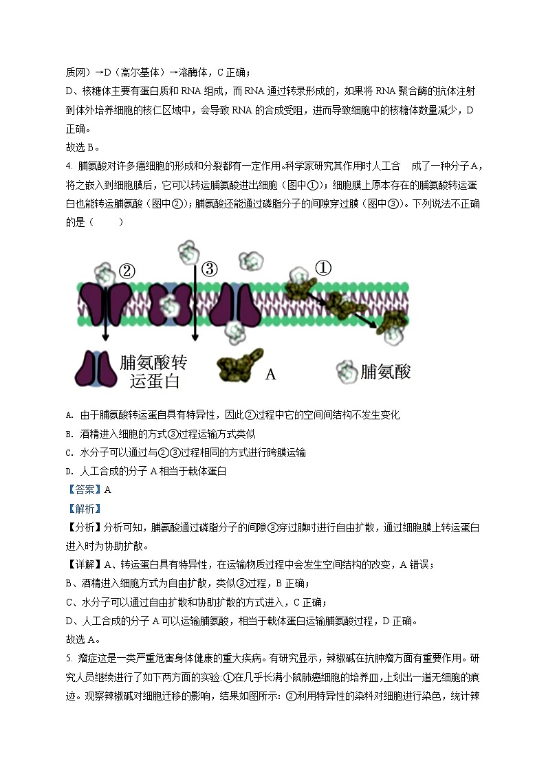 江苏省2022届高三上学期百校联考第一次考试生物试卷03