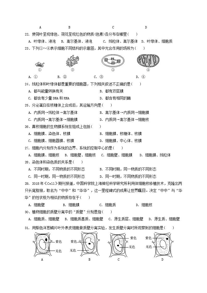 江苏省淮安市高中校协作体2020-2021学年高一上学期期中考试生物试题及答案03