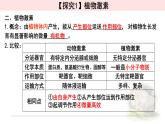 5.1.2植物生长素 课件 【新教材】人教版（2019）高中生物选择性必修一