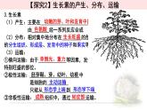 5.1.2植物生长素 课件 【新教材】人教版（2019）高中生物选择性必修一