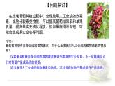 5.3植物生长调节剂的应用 课件 【新教材】人教版（2019）高中生物选择性必修一