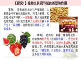 5.3植物生长调节剂的应用 课件 【新教材】人教版（2019）高中生物选择性必修一