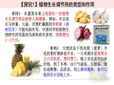 5.3植物生长调节剂的应用 课件 【新教材】人教版（2019）高中生物选择性必修一